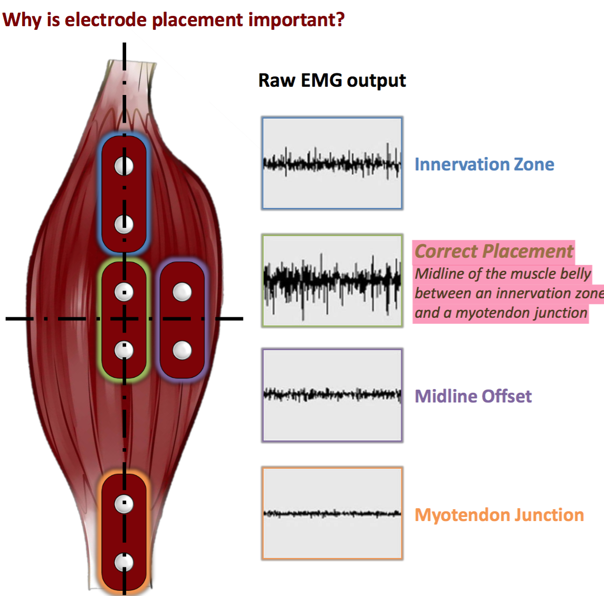 Thumbnail Image 1